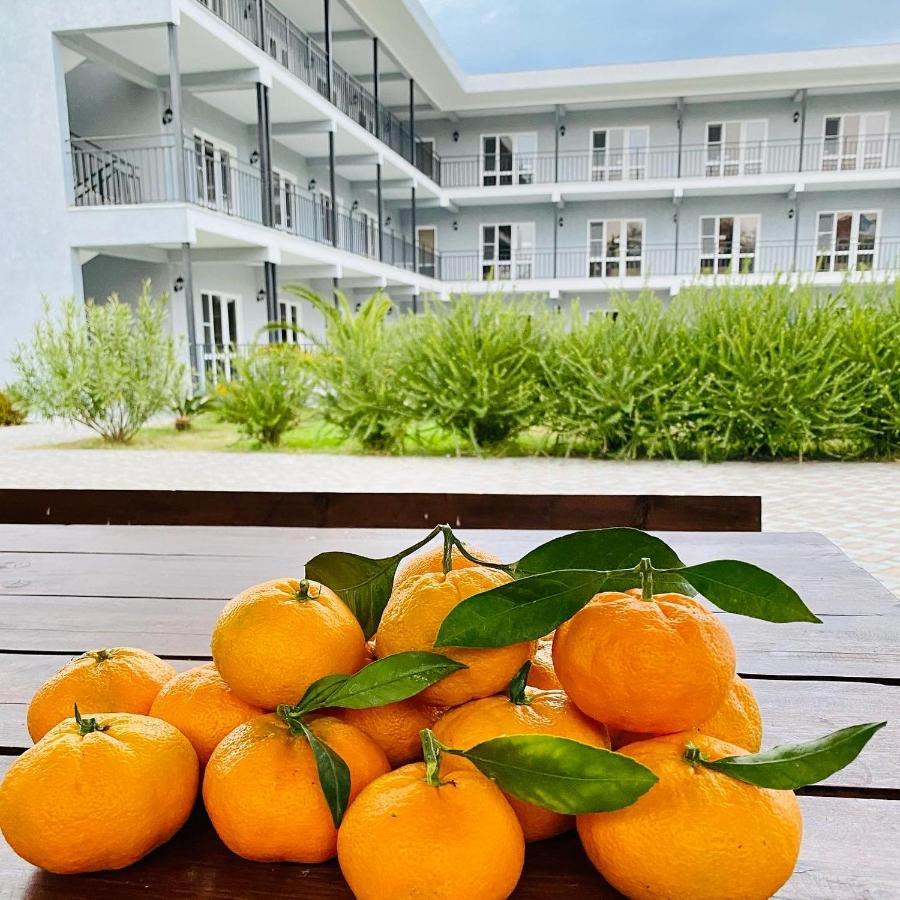 Hotel Mandarin Pizunda Extérieur photo